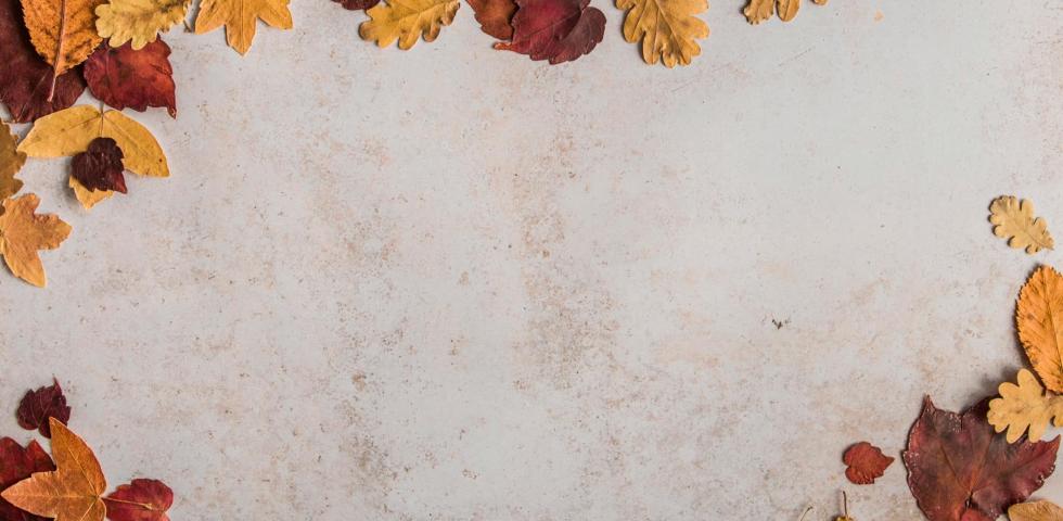 fall border